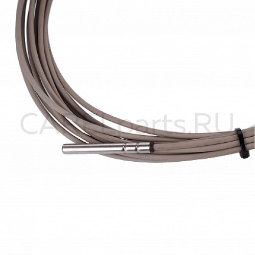 PT1060WP01 Датчик температуры пассивный CAREL